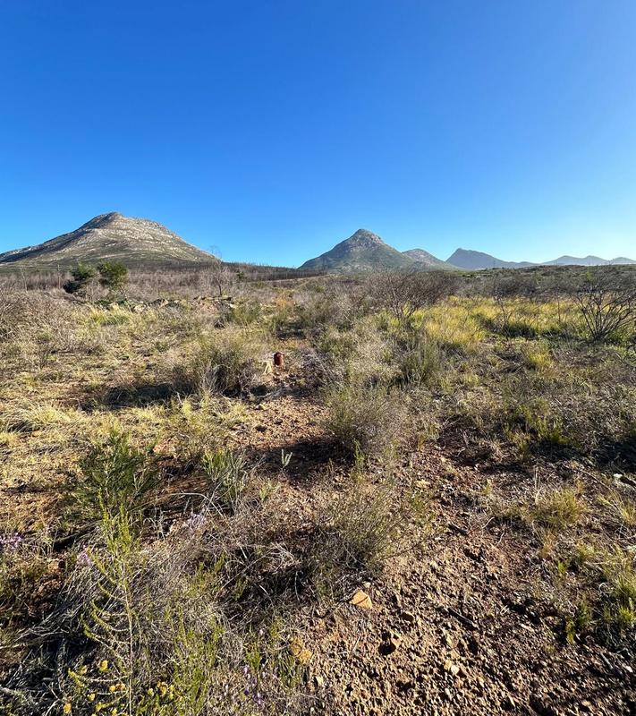 0 Bedroom Property for Sale in Kareedouw Eastern Cape